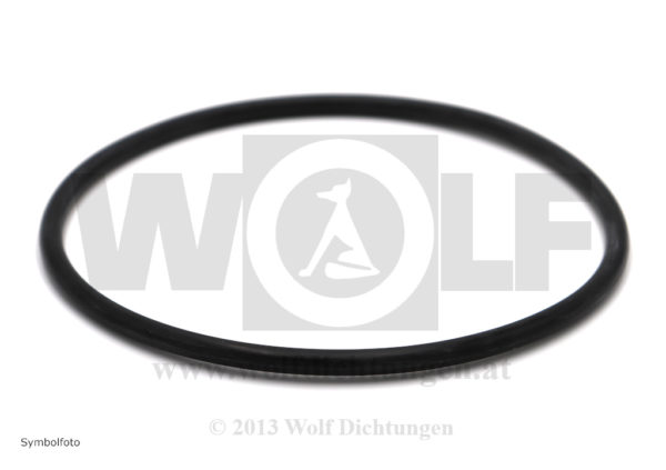 Zylinderlaufbüchsen-Ringdichtung für Kaelble | GN 130 F | GN 130 Z | GN 130 S – Bild 2