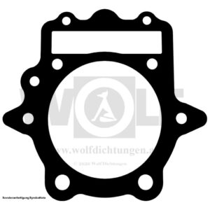 Zylinderkopfdichtung für Cagiva | W 16