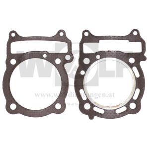 Teildichtsatz für Dinli | DL-802 Special | 300R Spezial