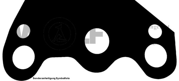 Ölpumpen-Zylinderfußdichtung für Lloyd – Bild 2