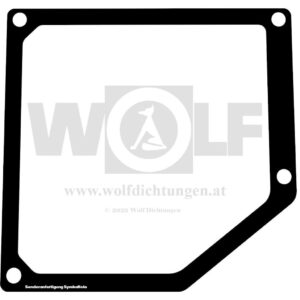 Einspritzpumpendichtung / Reglerdichtung für Mercedes | OM 444 LA