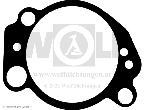Vergaserdichtung für OBA | LIC | 22 – Bild 2