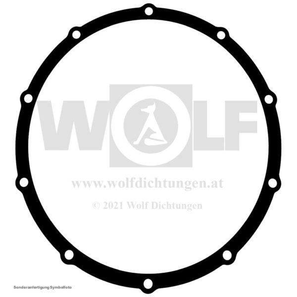 Dichtung für PGS