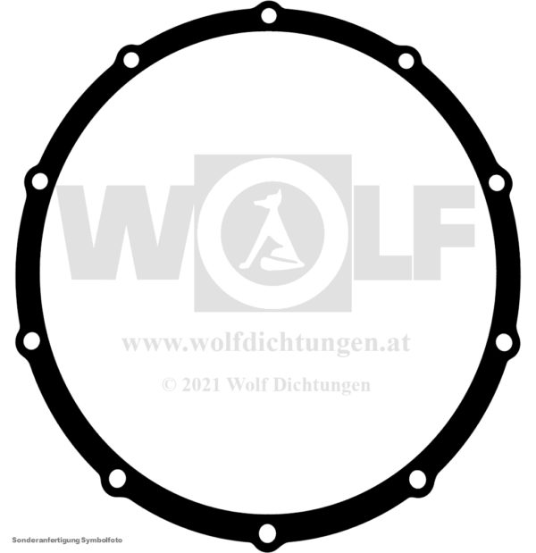Dichtung für PGS – Bild 2