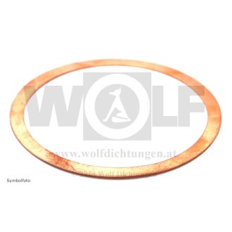 99 06 1802261051 010 1024